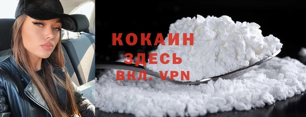 шишки Богородск