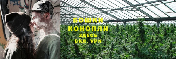 шишки Богородск