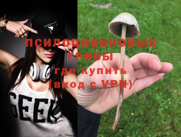 дмт Богородицк