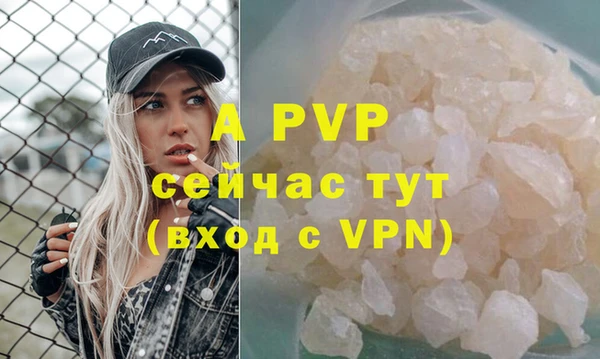 дмт Богородицк