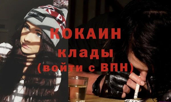 шишки Богородск