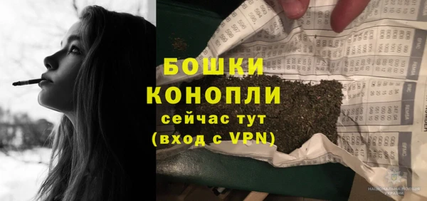 спайс Богданович